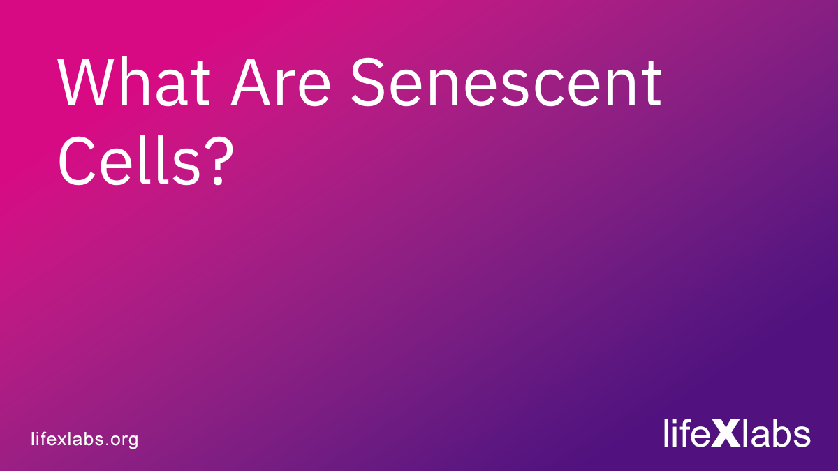 What Are Senescent Cells?