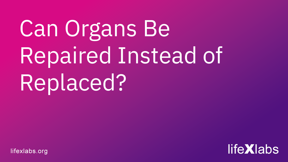 Can Organs Be Repaired Instead of Replaced?