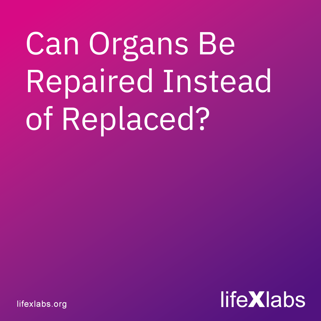 Can Organs Be Repaired Instead of Replaced?